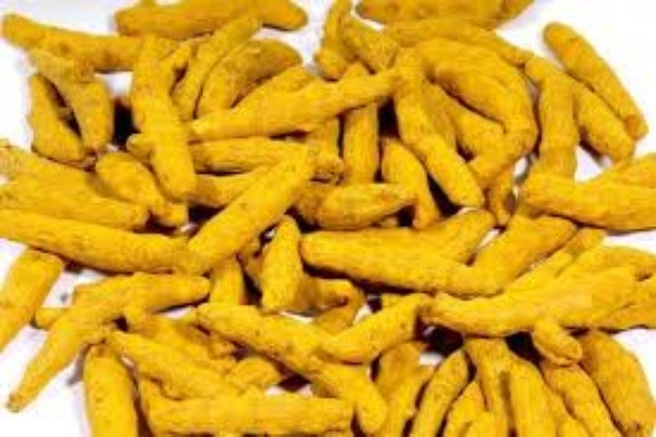 Raw Turmeric Finger Manufacturers in Jammu 